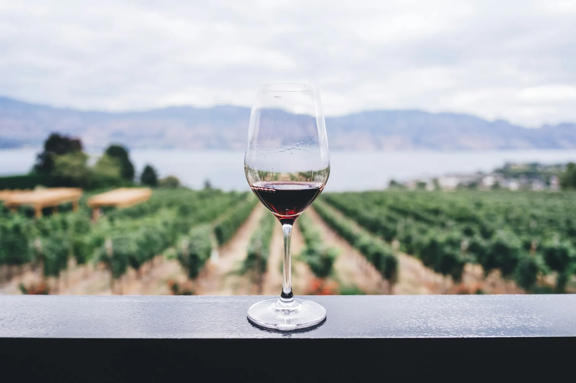 Wine cellar