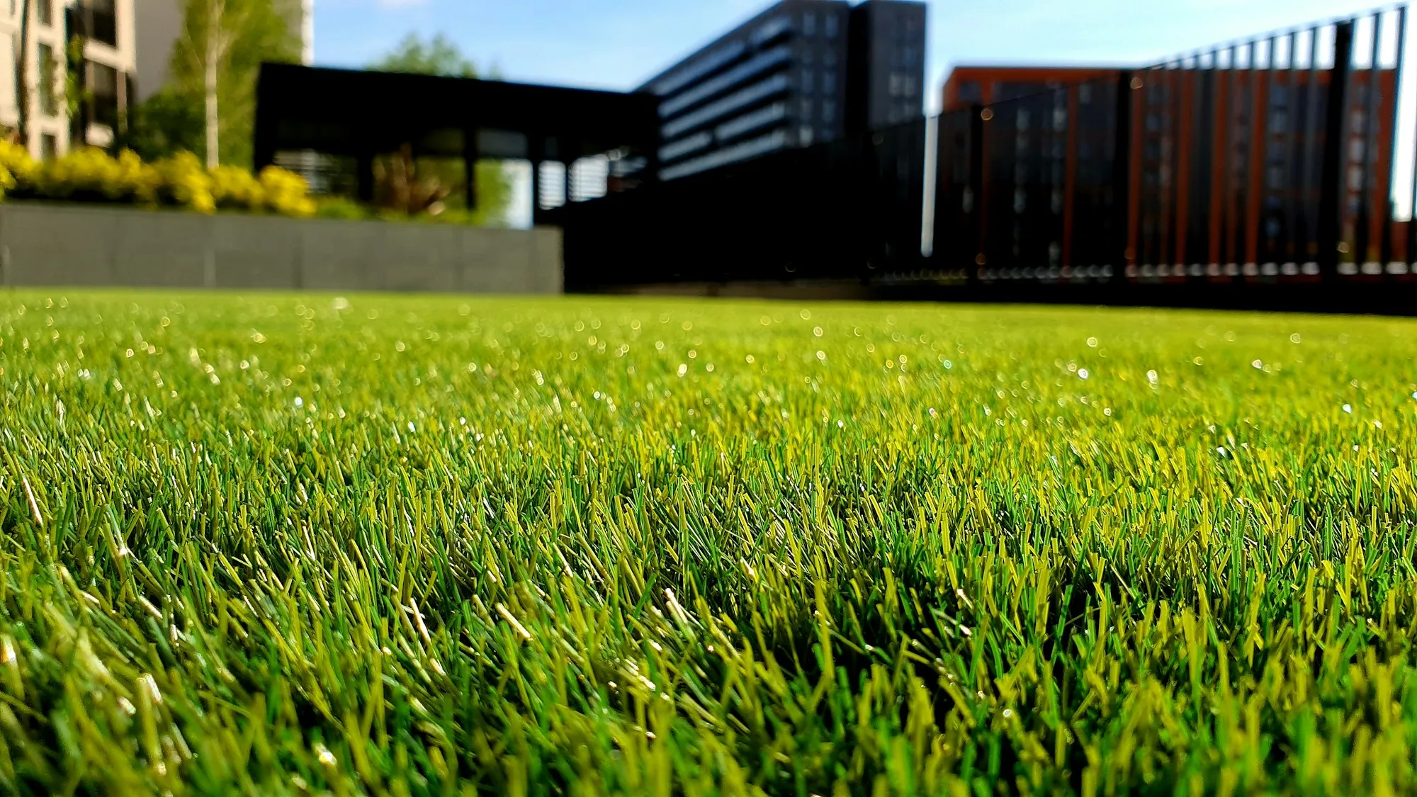 Landscaping