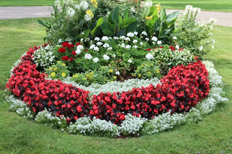 Native Flower Beds