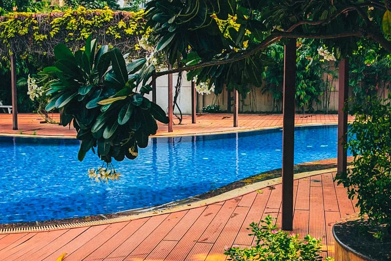 Poolside Oasis
