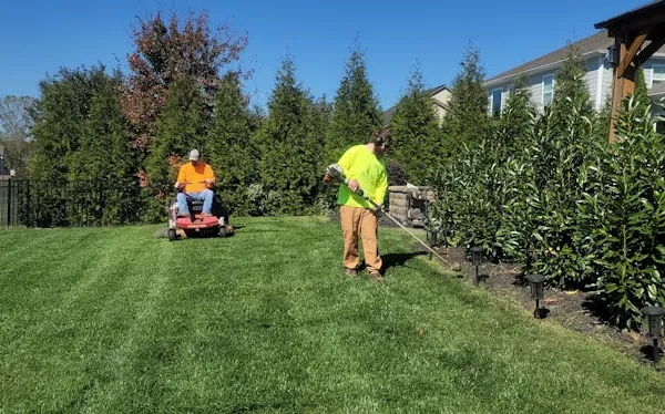 Yard Cleaning