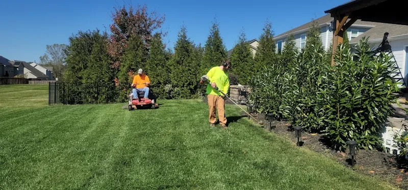 Estate Maintenance